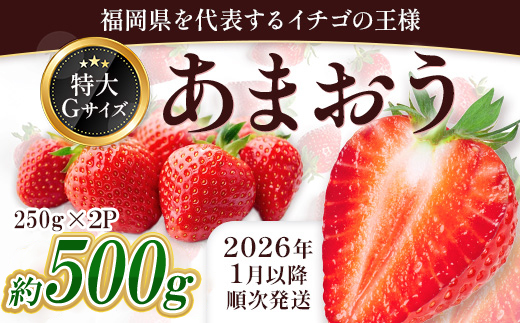 福岡県産 あまおう 約500g前後（約250g×2）1月～3月発送 3KC2