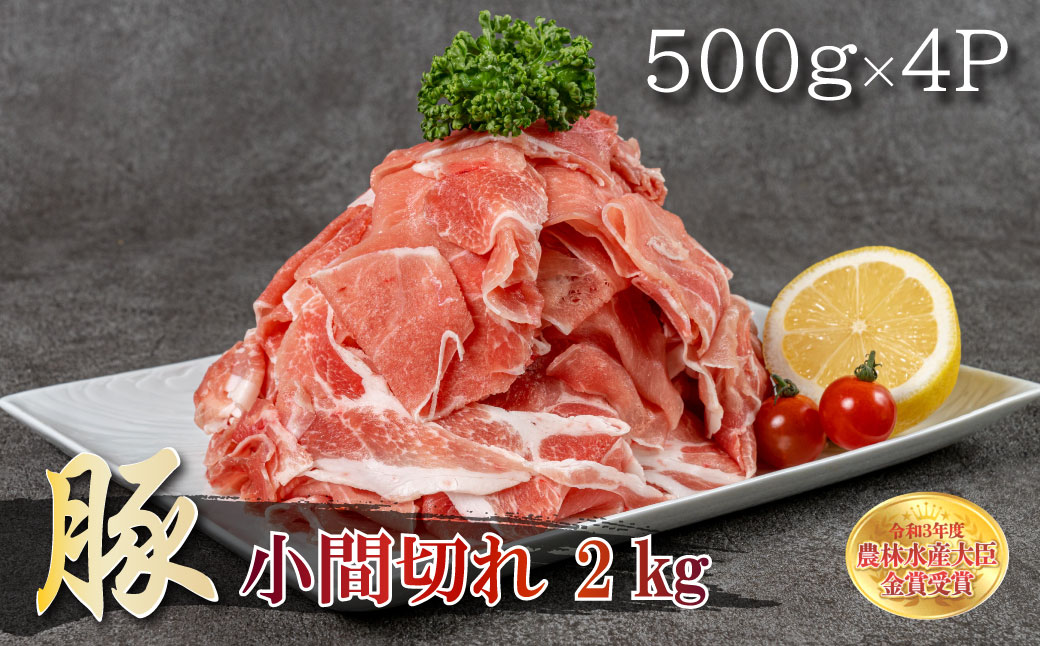 襍、譚鷹、顔函鬢ィ 雎壼ー城俣蛻繧 2緕 B18