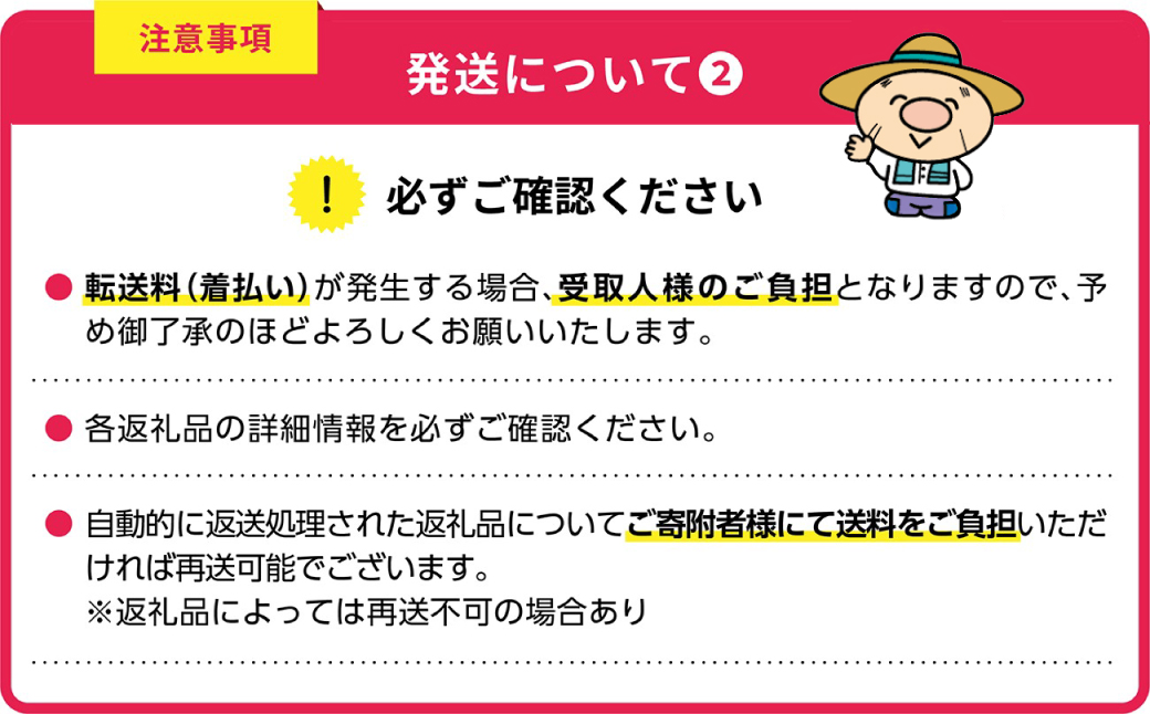 B9 赤村養生館 特製手ごねハンバーグ 20個