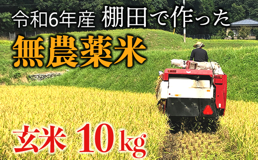 【新米】赤村産棚田米こだわりの夢つくし（玄米）10kg J2-S