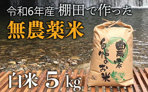 【新米】赤村産棚田米こだわりの夢つくし（精米）5kg J4-S