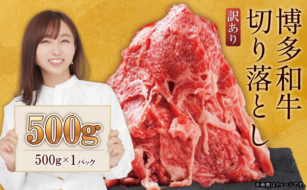 訳あり！【数量限定】博多和牛切り落とし500ｇ Y21-S2