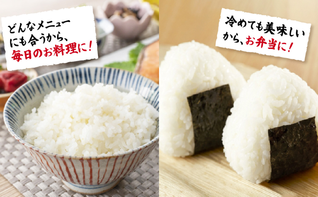 【数量限定】夢つくし(精米) 福岡県産ブランド米 5kg  (品番:3X10)