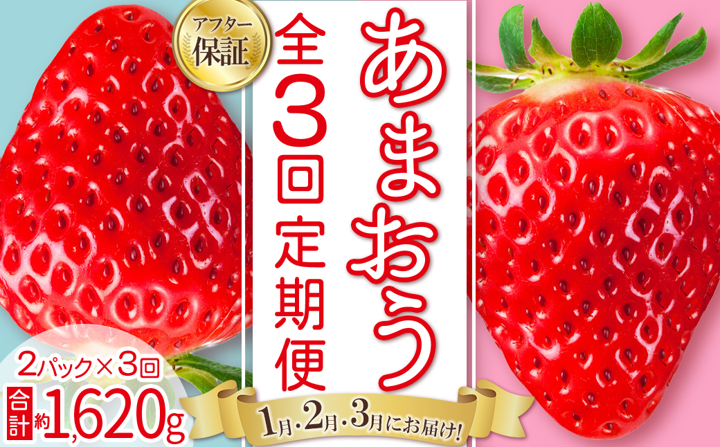 【 あまおう 定期便 全3回】福岡県産あまおう 約270g 前後 ×２パック いちご イチゴ あまおう 福岡限定 ブランド 果物 フルーツ ストロべリー スイーツ ケーキ パフェ スムージー ジャム 国産 福岡県 お取り寄せ 送料無料 3W27