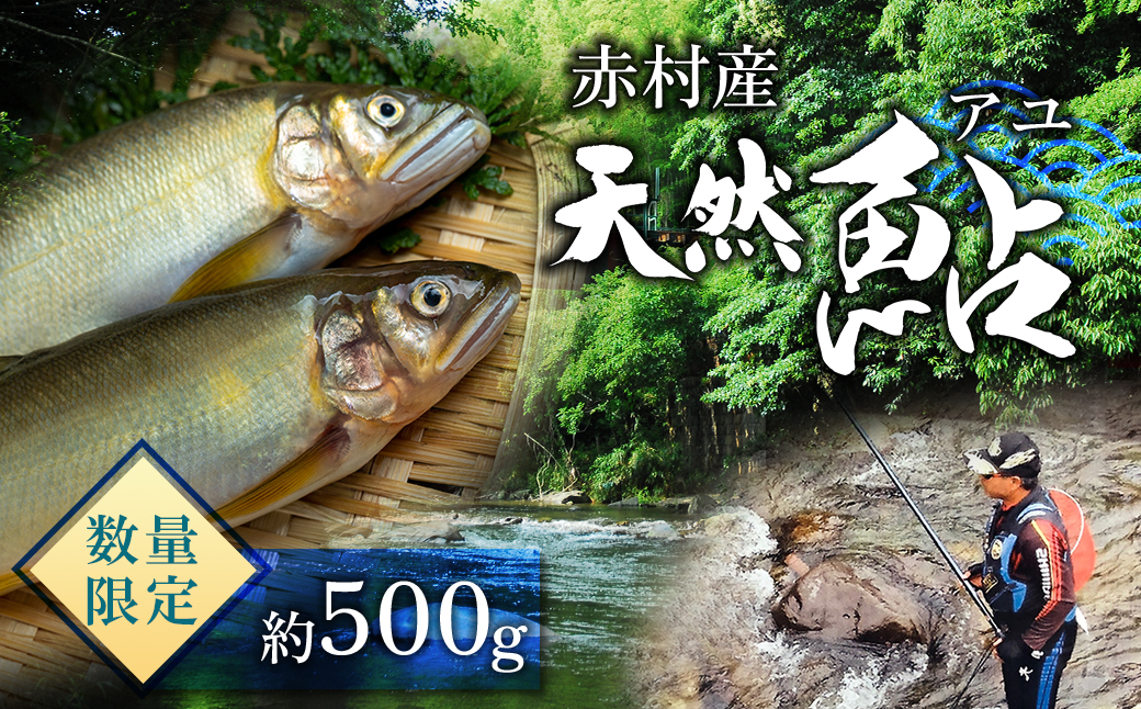 蜀キ蜃埼ョ弱邏500g 3E5