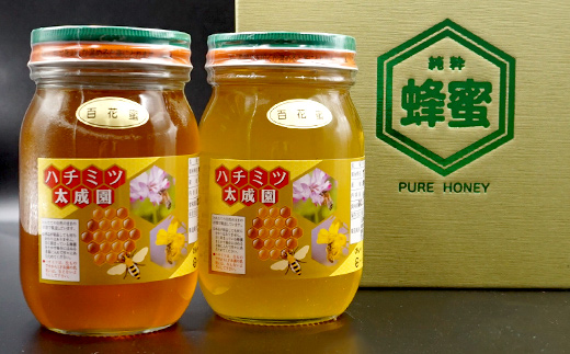 蜂蜜（百花蜜６００ｇ）２個セット K1
