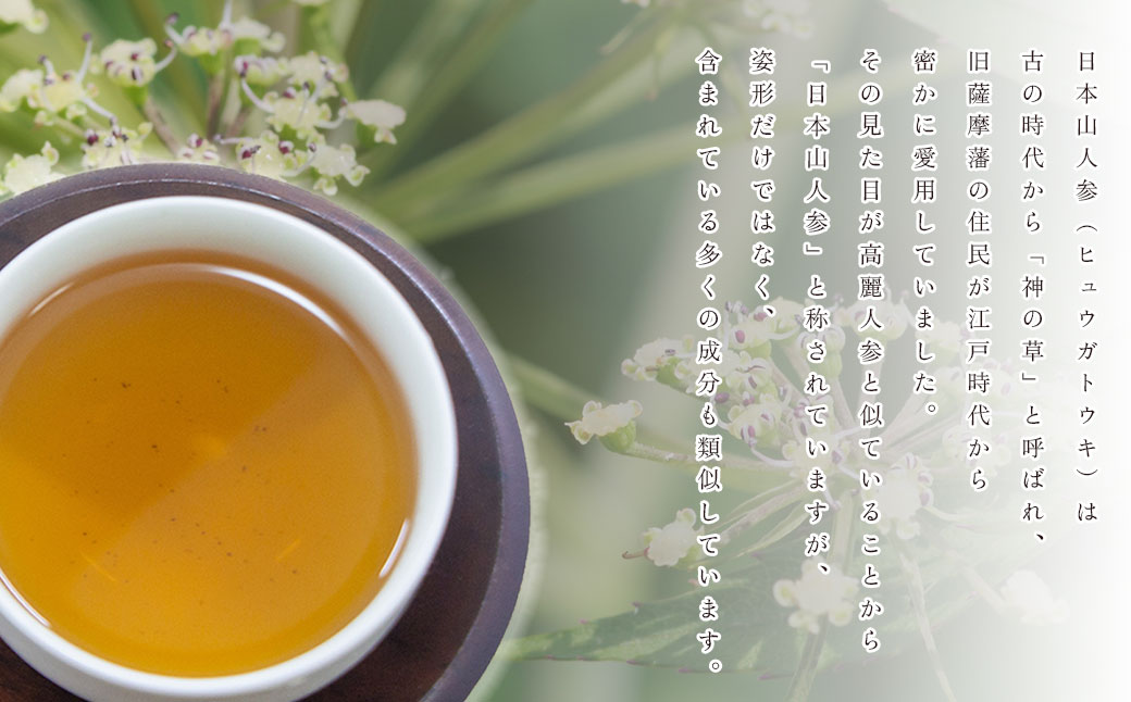 「我鹿農園」我鹿(あか)のお茶 日本山人参茶1袋(100g) 4C1