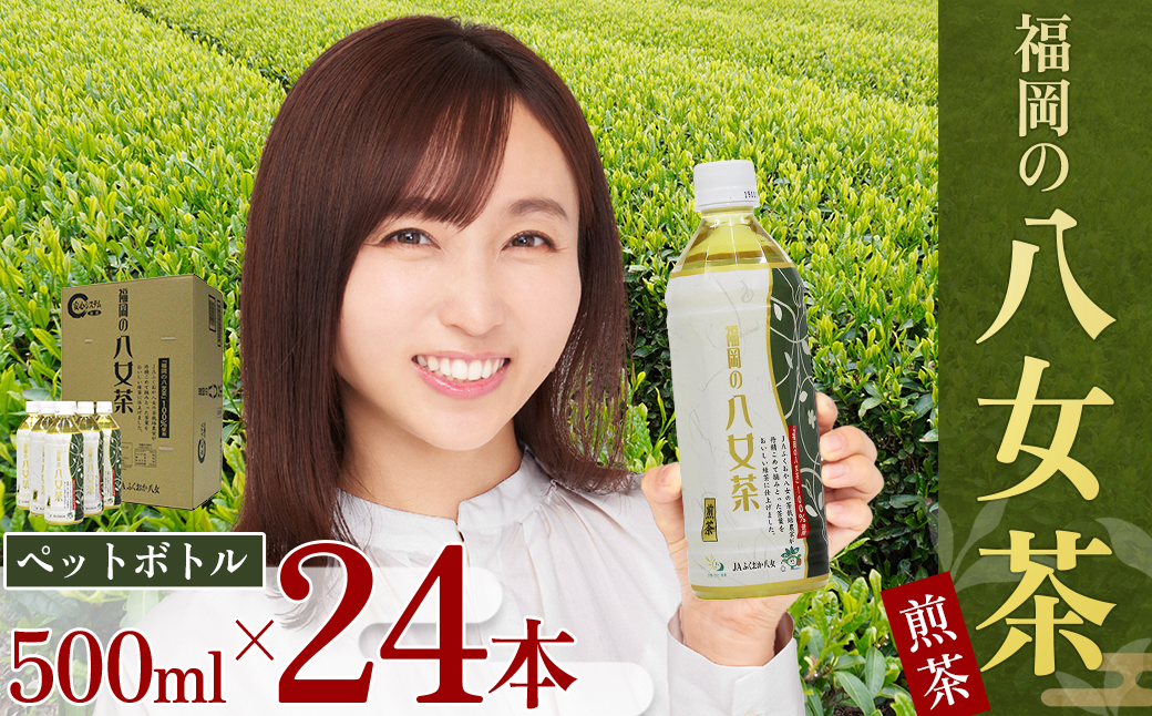 福岡の八女茶ペットボトル（５００ｍｌ×２４本入り） 2K1
