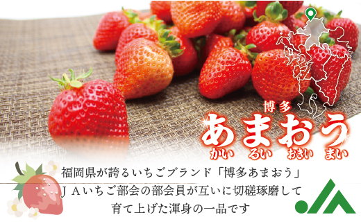 2L11 JAむなかた直送！食べきりサイズ「博多あまおう」約180g×4パック