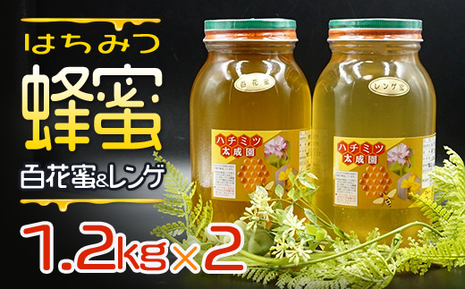 蜂蜜（レンゲ蜜１.２ｋｇ、百花蜜１.２ｋｇ）セット K2