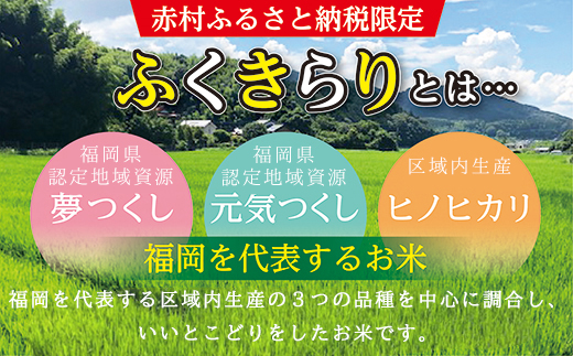 3X3 訳あり 福岡県 ふくきらり 15kg (5kg×3袋)