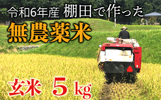 【新米】赤村産棚田米こだわりの夢つくし（玄米）5kg J1-S