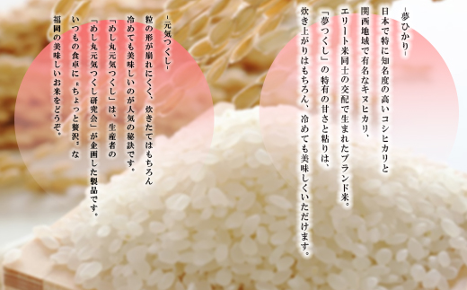 4A27 果物屋さんが選んだ米食べ比べ「夢つくし&元気つくし」5kg×2袋