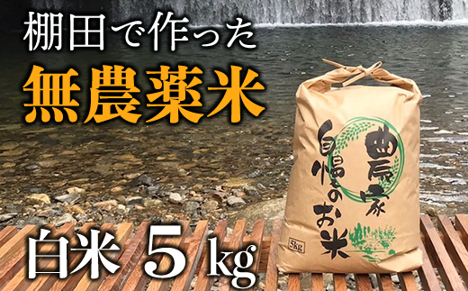 【新米】赤村産棚田米こだわりの夢つくし（精米）5kg J4-S