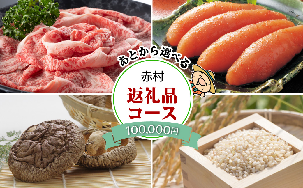 あとから選べる返礼品【１０万円コース】