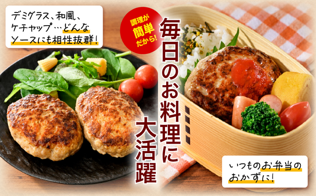 赤村養生館 特製手ごねハンバーグ 20個 B9