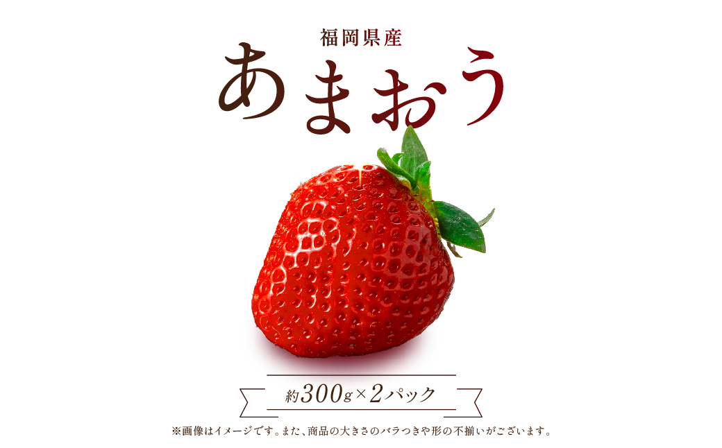 【赤村限定】福岡県ブランドいちご“あまおう”農家直送【300g×2パック】 2Z6