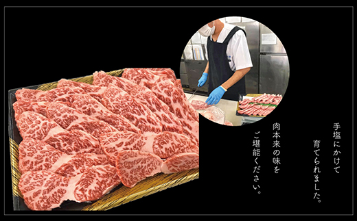 【A5A4等級】博多和牛ロース焼肉用 約500g 3V4