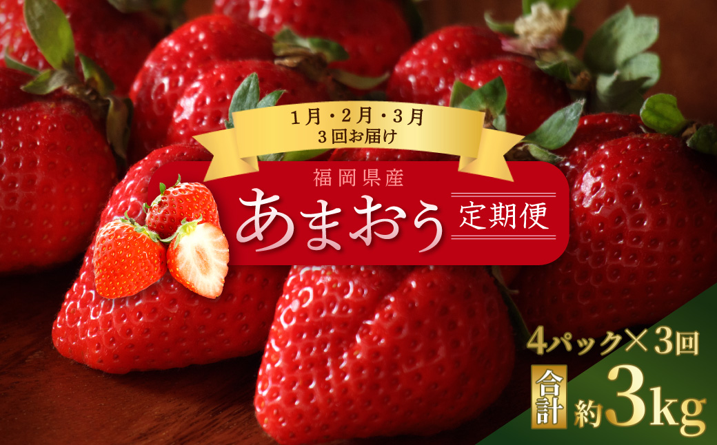 【先行予約／2027年出荷】福岡県産「あまおう」定期便3回お届け (1月・2月・3月) 2J2