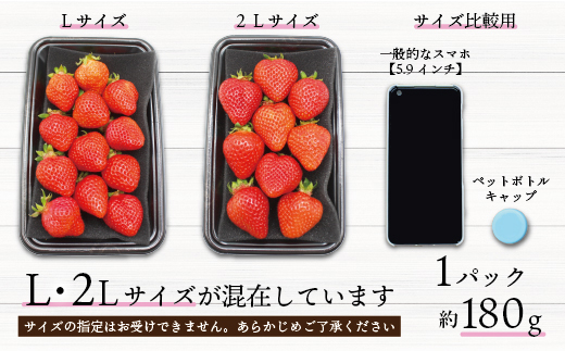 JAむなかた直送！食べきりサイズ「博多あまおう」約180g×8パック 2L12