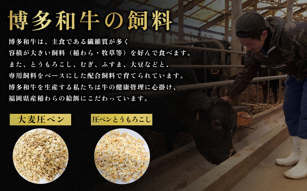 縲千ヲ丞イ。逵檎肇縲大忽螟壼柱迚帛繧願誠縺ィ縺 1.6kg 2L6