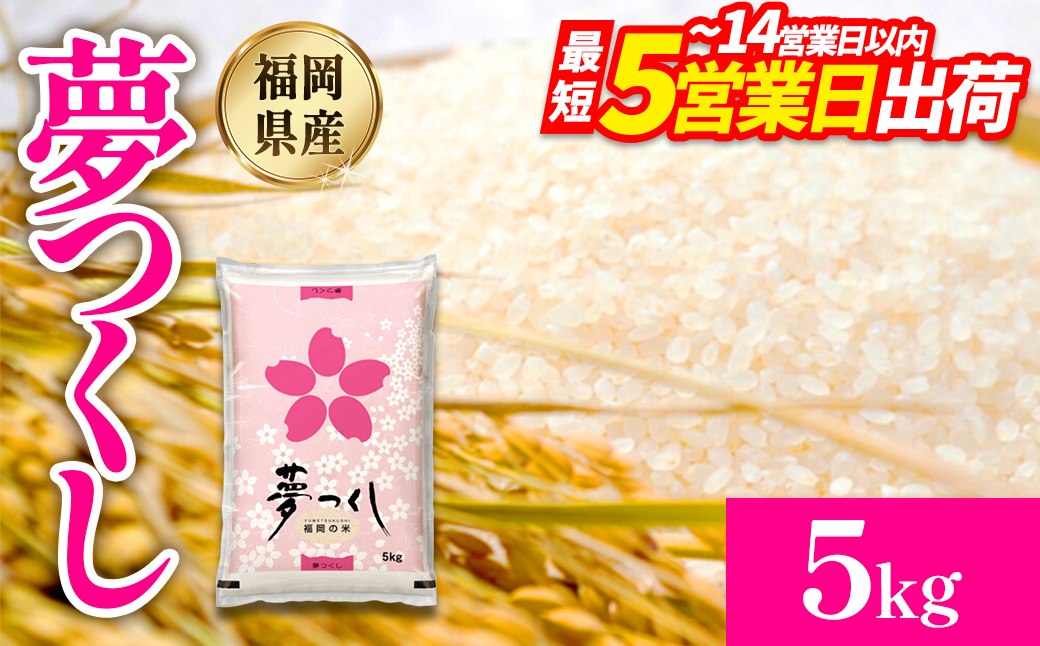 【数量限定】夢つくし(精米) 福岡県産ブランド米 5kg  (品番:3X10)