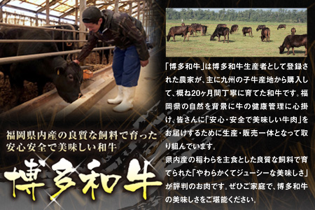 ２ＮＡ１　博多和牛すき焼き用ぶりすけスライス700ｇ