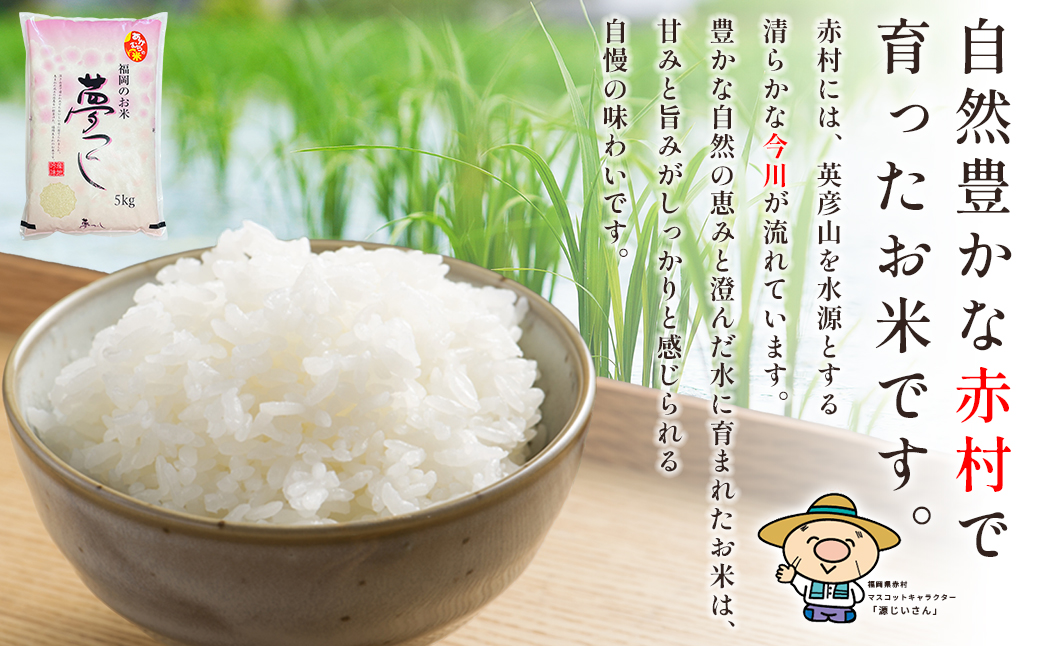 【10営業日以内に発送】赤村産米 農家直送【数量限定】 精米 夢つくし 10kg (品番:4U1-S1)