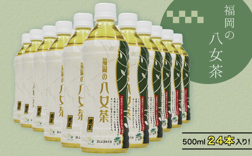 福岡の八女茶ペットボトル（５００ｍｌ×２４本入り） 2K1