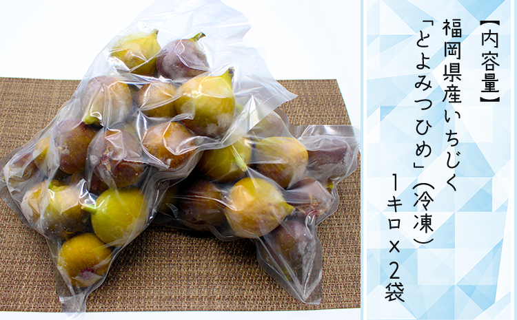 【福岡県産】冷凍とよみつひめ（イチジク） 2kg（1kg×2） 2L8