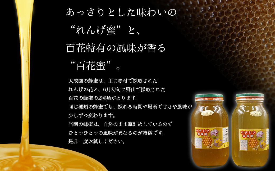 蜂蜜（レンゲ蜜１.２ｋｇ、百花蜜１.２ｋｇ）セット K2
