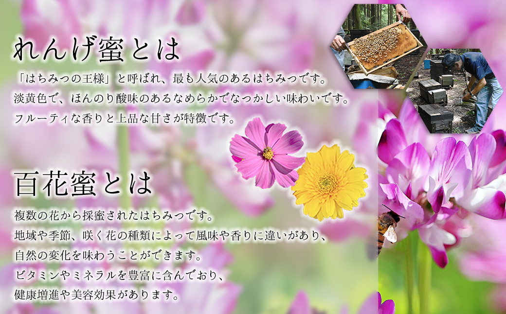 蜂蜜（レンゲ蜜１.２ｋｇ、百花蜜１.２ｋｇ）セット K2
