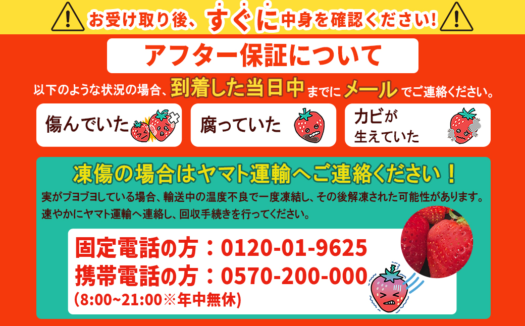 JAむなかた直送！食べきりサイズ「博多あまおう」約180g×8パック 2L12