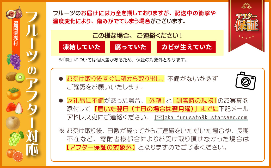 福岡限定!ブランドいちじく「とよみつひめ」約300g×4パック 4A15