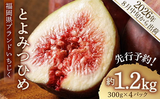 福岡県ブランド いちじく「とよみつひめ」約1.2ｋｇ(約300ｇ×4パック) 3W2