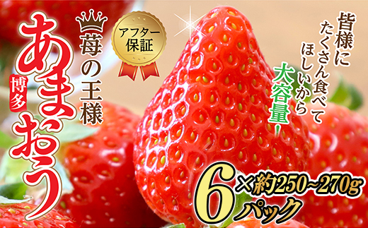 【先行予約／2027年出荷】【福岡県産あまおう】 テレビ 「 ヒルナンデス 」 で紹介されました！ 訳あり グランデ　約250-270ｇ ×６Ｐ いちご イチゴ 苺 博多 デザート 果物 くだもの フルーツ ジャム スムージー ケーキ に 先行予約 数量限定 TV紹介 人気 おすすめ 送料無料 3W13