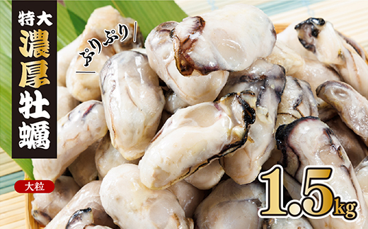 急速凍結！冬の味覚国産牡蠣1.5kg(500ｇ×3袋) 4S2