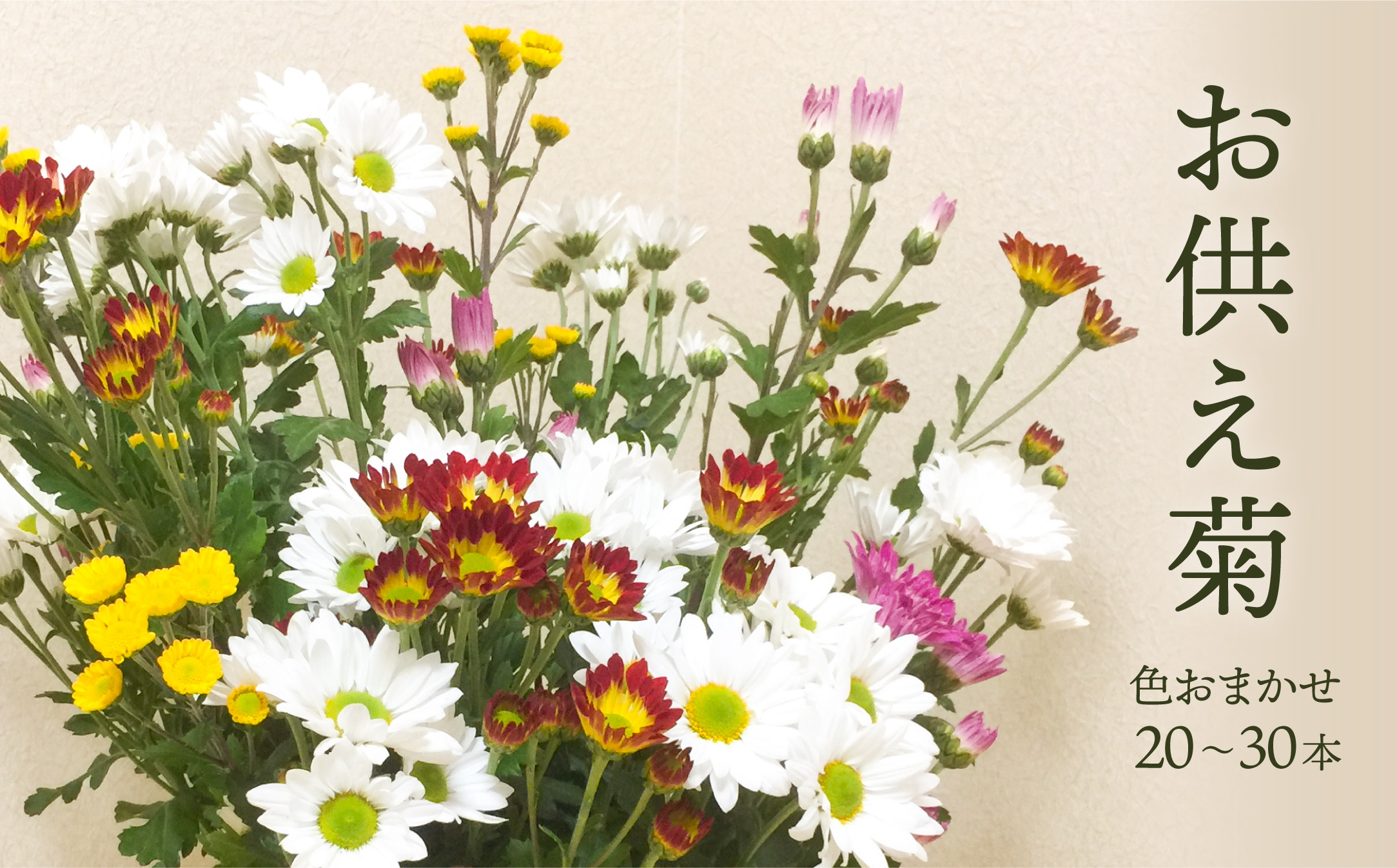 スプレー菊　花束（２０～３０本） Q1