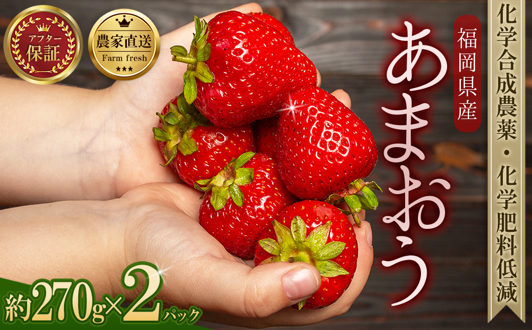 農家直送！ 特別栽培 あまおう 約270ｇ×2パック【数量限定】 3W19