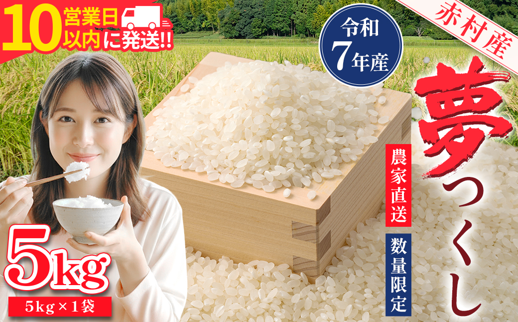 【10営業日以内に発送】赤村産米 農家直送【数量限定】 精米 夢つくし 5kg (品番:4U2-S)
