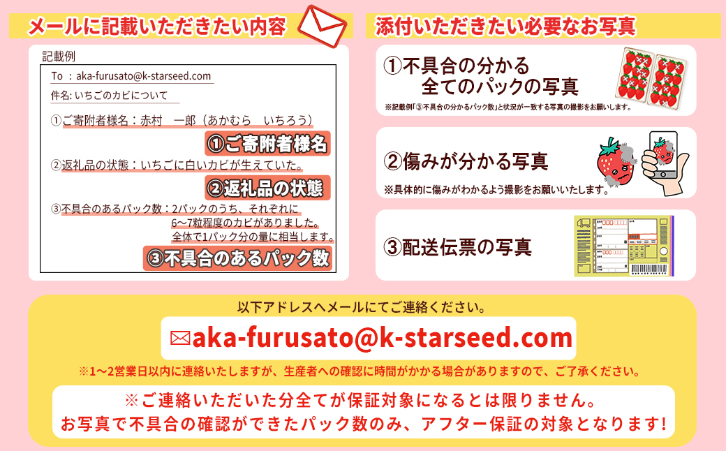 【先行予約／2027年出荷】厳選大粒あまおう（4パック） 3SA2