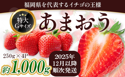 福岡県産 あまおう 約1000g前後（約250g×4）12月以降発送 3KC5