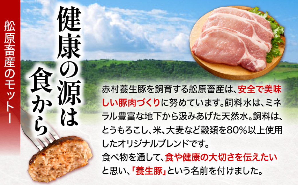 赤村養生館 特製手ごねハンバーグ 14個 B19