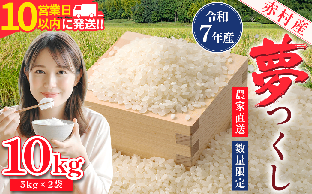【10営業日以内に発送】赤村産米 農家直送【数量限定】 精米 夢つくし 10kg (品番:4U1-S1)
