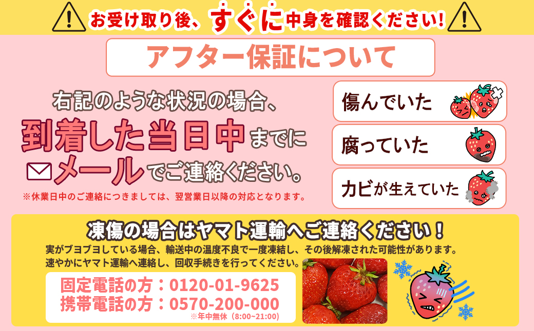 【先行予約／2027年出荷】福岡県産「あまおう」1400ｇ（280ｇ×5ｐ）【数量限定】 2Z1
