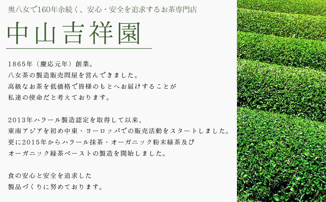 八女茶 水出し 緑茶 (2ﾊﾟｯｸ入り) 3W20