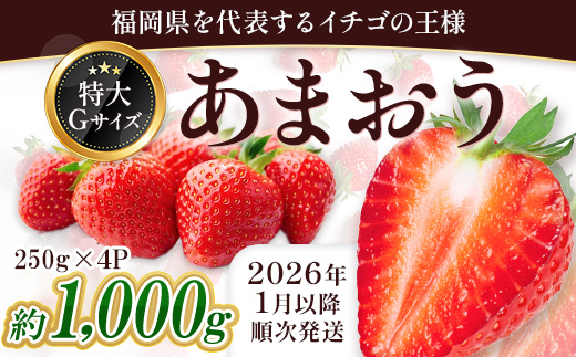 福岡県産 あまおう 約1000g前後（約250g×4）1月～3月発送 3KC1