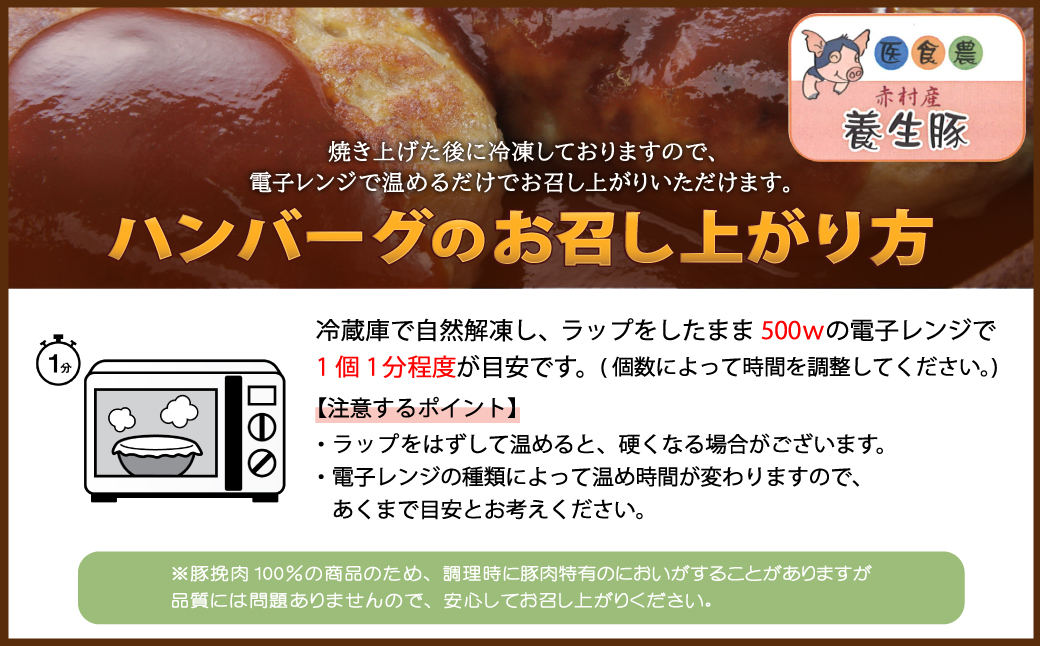 赤村養生館 特製手ごねハンバーグ 20個 B9