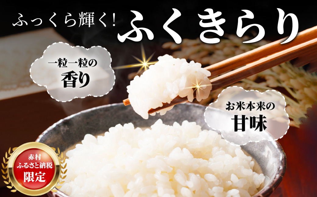 3X5 訳あり 福岡県 ふくきらり 5kg (5kg×1袋)