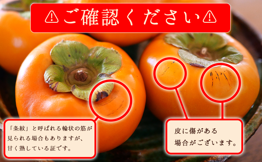 福岡県産 柿 秋王 約1.7kg (5～6玉)化粧箱入り 3W16